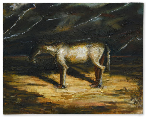 Donkey Frightened by Lightning