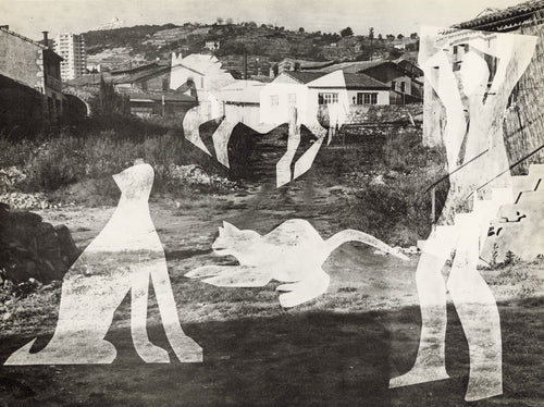 L'Homme aux Chats II