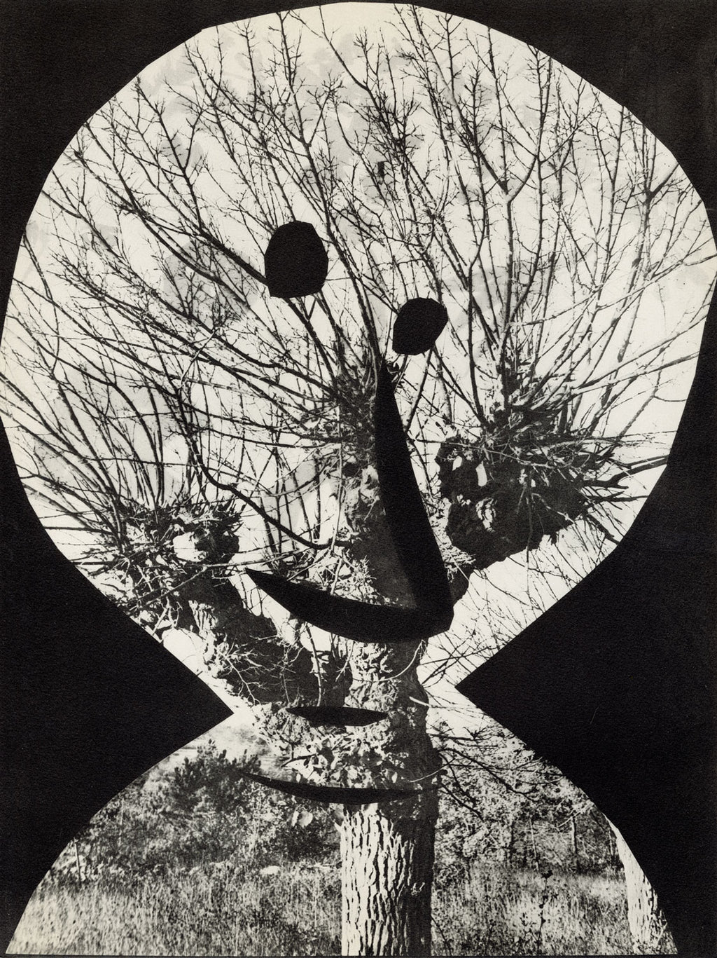 Le Corrigan Effeuillé