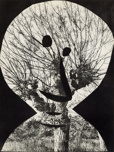 Le Corrigan Effeuillé