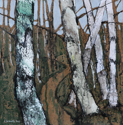 Path through the Birch Wood