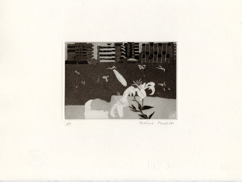 Sleeping Baby, Johannesburg