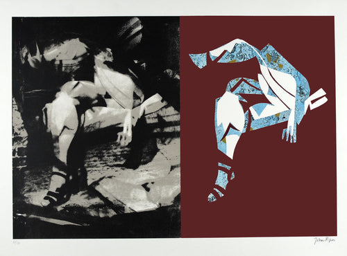 Eye and Camera: Claret and Blue