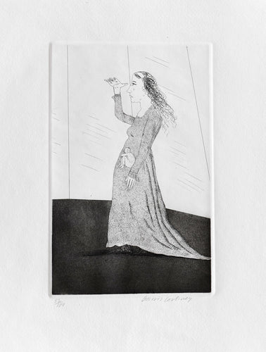 The Princess Searching