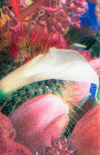 Marc Quinn - Cultural Tie