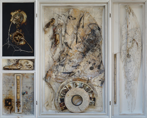 Natural History of the Heavens