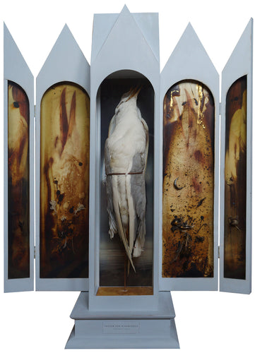 Prayer for Ridibundus (Resident, November 1974)