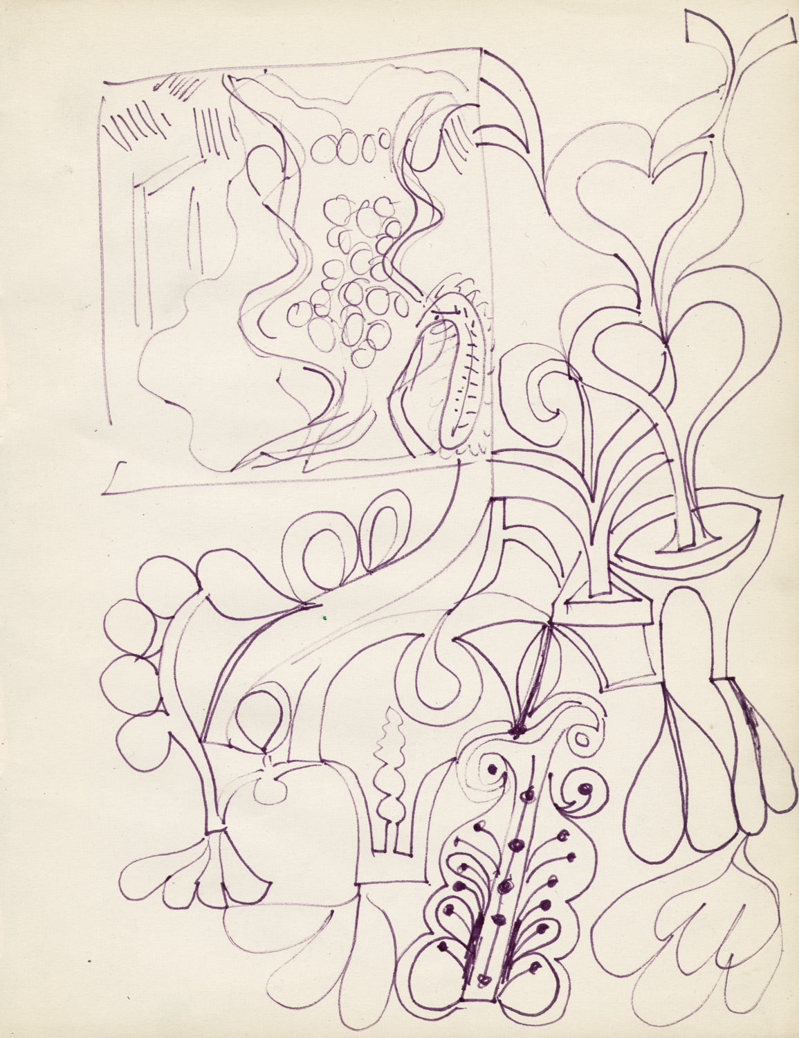 Flora and Fauna Study