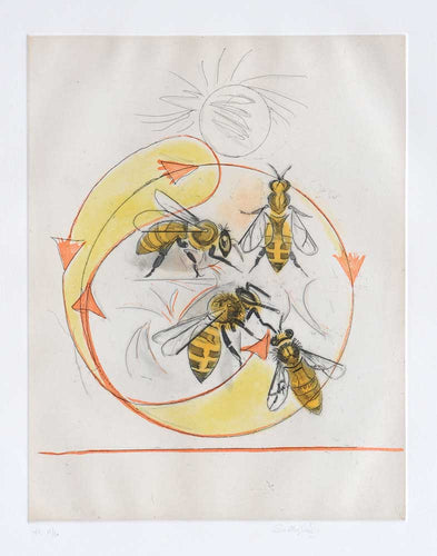 Round Dance: Orientation to Sources of Nectar and Pollen