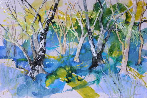 Secret Bluebell Wood