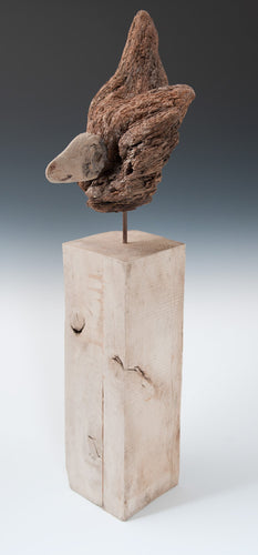 Cleared for Take-off