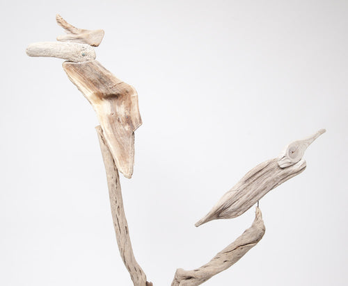 Rhinoceros Hornbill with Adoring Female