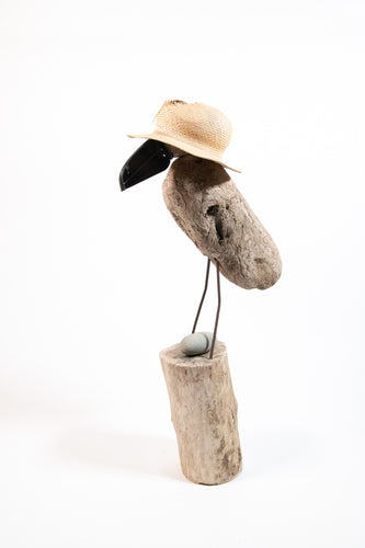 Black-Browed Albatross