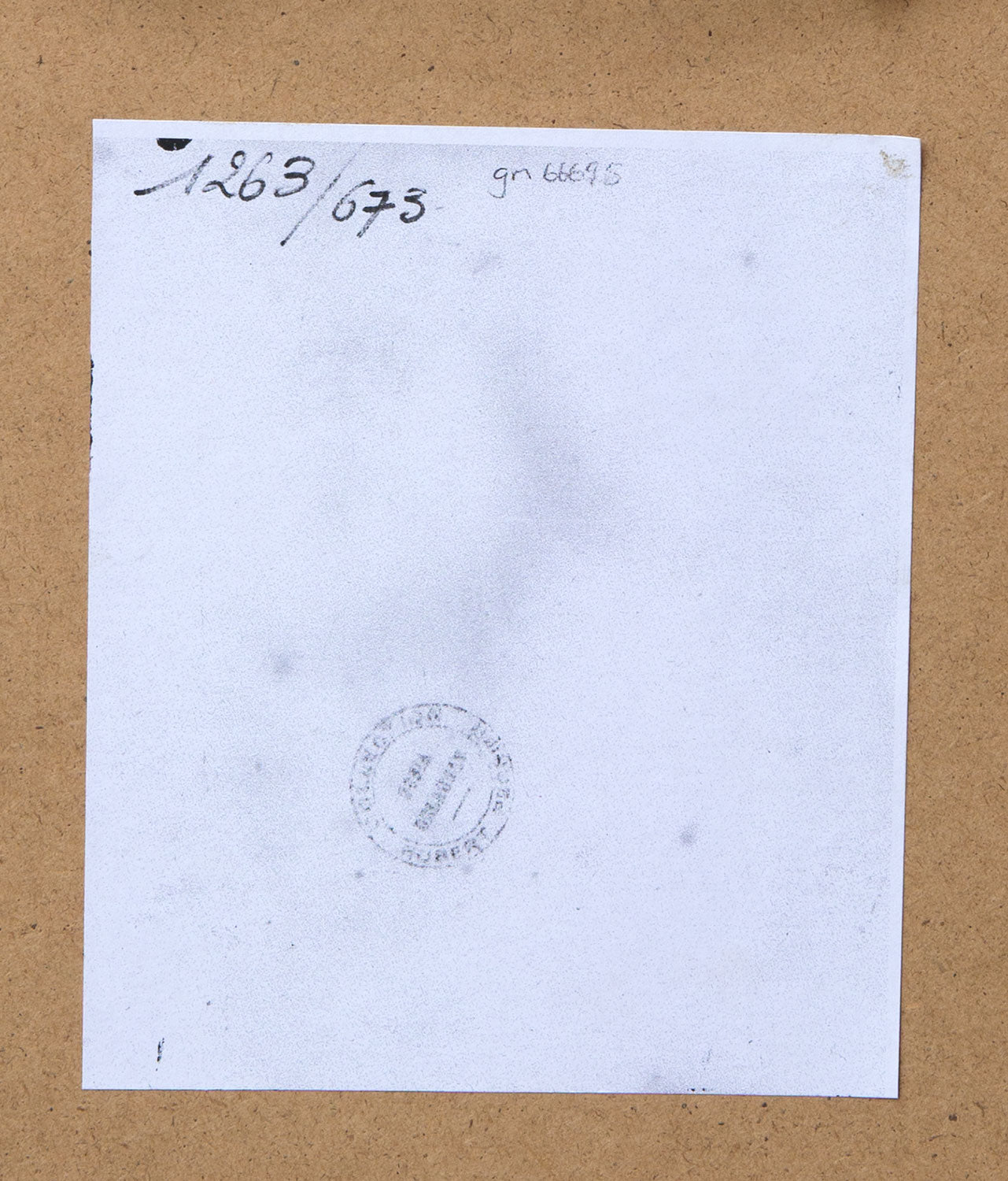 Design 1263 - Red and Blue Flowers on Black