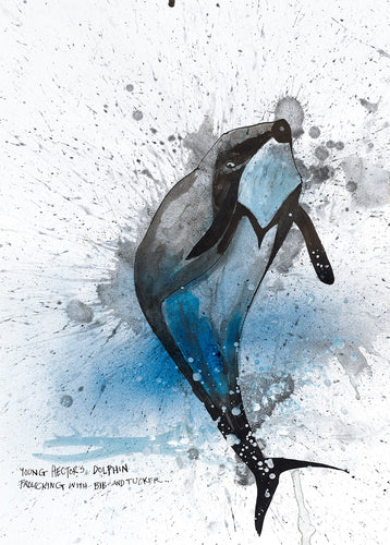 Hector's Dolphin