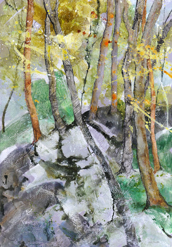 Sunlight in the Forest