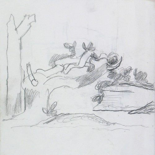 Estuary Trees and Rocks