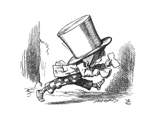 The Hatter hurriedly left the court, without even waiting to put his shoes on...