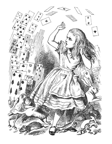 At this the whole pack rose up into the air, and came flying down upon her...