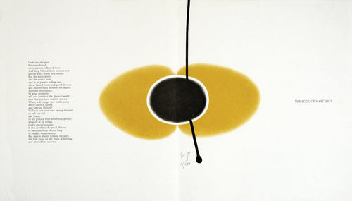 The Pool of Narcissus