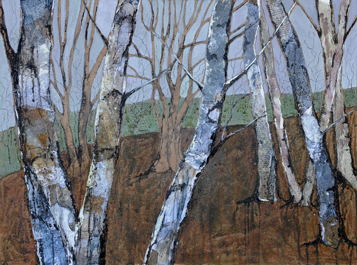 Trunks of Silver Birches
