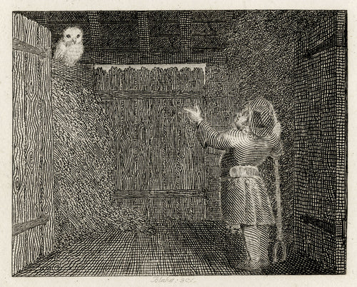 The Owl and the Farmer