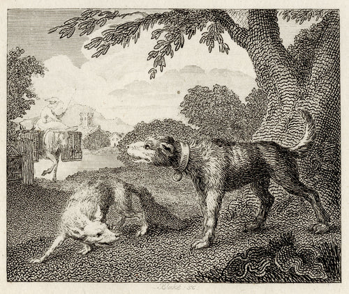 The Dog and the Fox