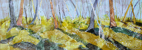 Wood Anemones Spring Sunshine